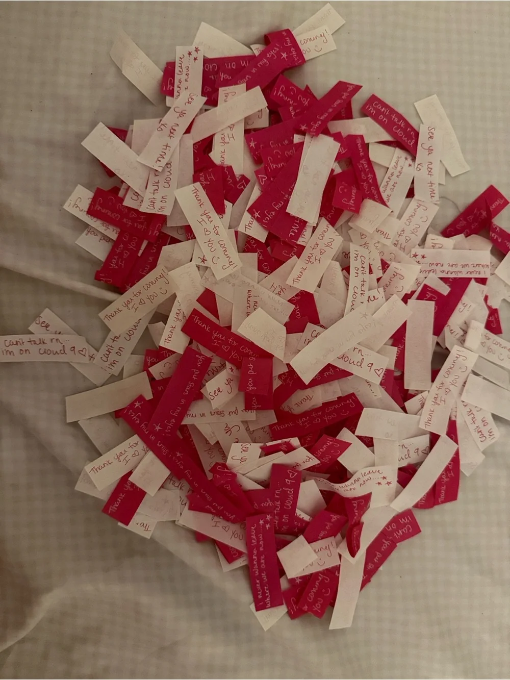 Assorted Megan Moroney Pink and White confetti from Cloud 9 Tour (50 Pcs)